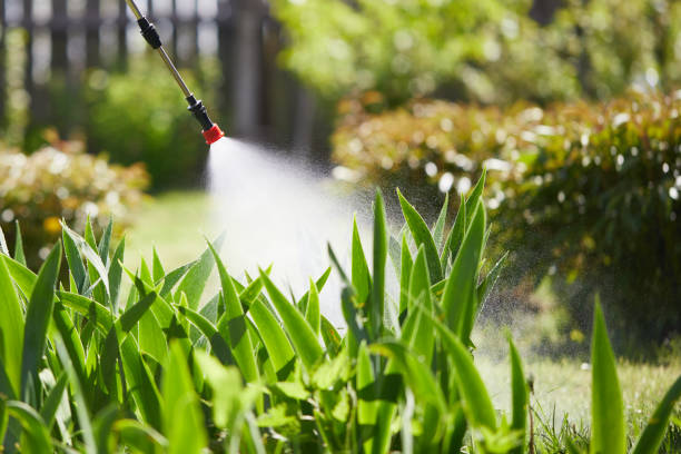 24/7 Emergency Cockroach Control experts in Perryville, AR
