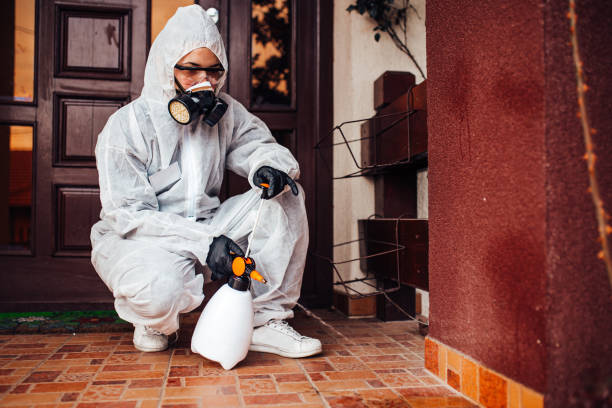 Reliable Cockroach Control contractor in Perryville, AR by Nex Pest Control
