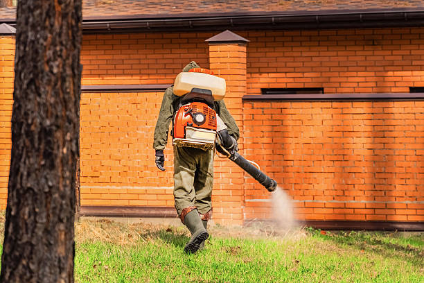 Trusted Bed Bug Control service in Perryville, AR - Nex Pest Control